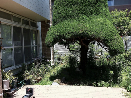 Before