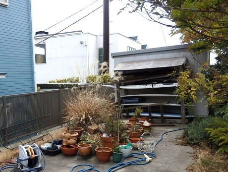 Before