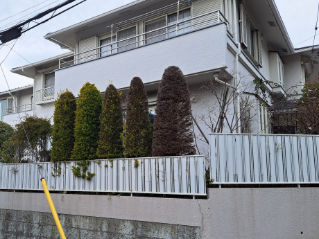 Before