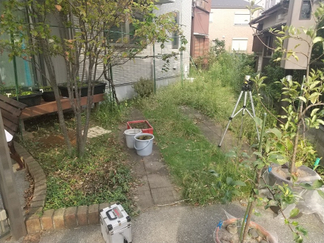 Before