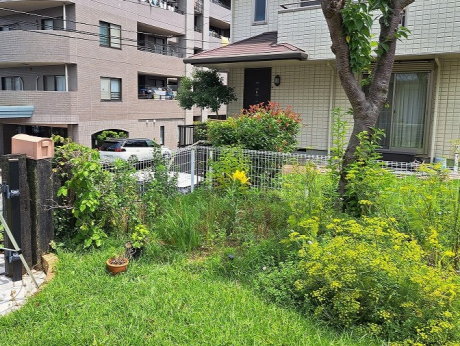 Before
