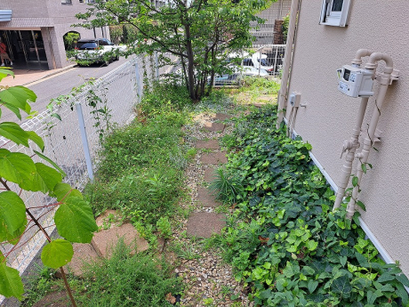 Before